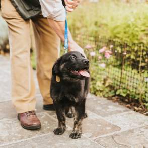 A dog on a lead stood next to a man with gardens in background