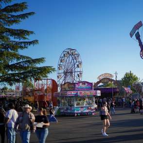 Douglas County Fair