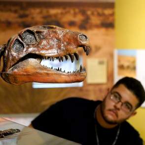 Museum of Nature and Science