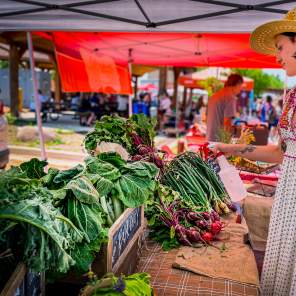 Shopping the Longmont Farmers Market