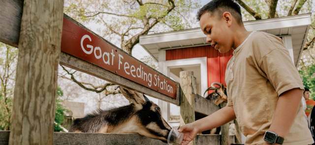 Boy feeding animals at the Fort Wayne Children's Zoo