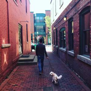 Man walking a white dog down an alley way in Armory Square, Syracuse, NY