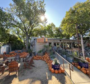 Exterior and patio at Cosmic Coffee and Beer decorated for fall with tons of pumpkins