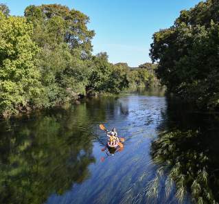 Kayaking the San Marcos River in San Marcos texas