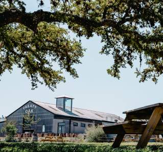 picnic table under shady tree at Treaty Oak Distilling near Austin Texas