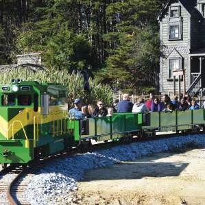 Groups Kersey Valley Train