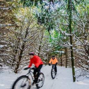 People biking in the snow
