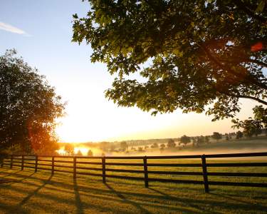 Media Assistance And Media Kits Lexington Ky Horse Capital Of The World