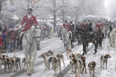 Winter parade with riders on horseback and hounds during a Loudoun County event