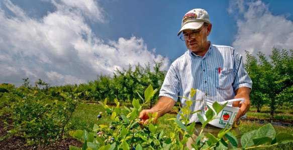 FARMS AND FARMERS MARKETS