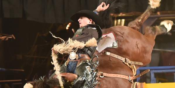 Mid-Winter Fair Rodeo