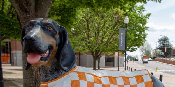 The UT Smokey Dog Statue