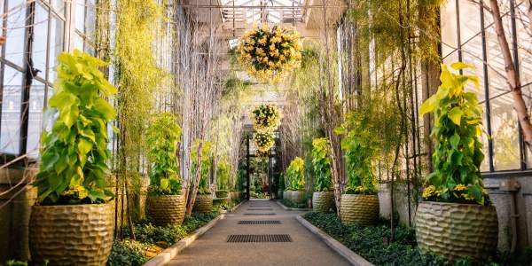 Longwood Gardens Conservatory