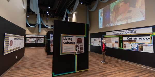 Joshua Tree National Park Universal Threads Exhibit Freedom Plaza