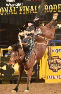 Mid-Winter Fair Rodeo