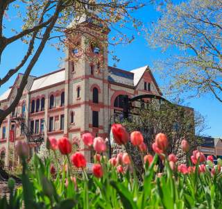 Woodstock Opera House with Tulips