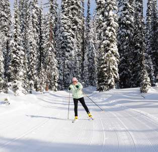 Nordic skiing through Big White in Kelowna is an experience like no other. Come feel the snow beneath your skis and the crisp wind on your face.