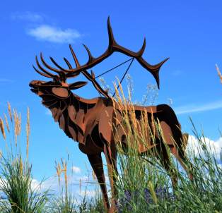 Elk Sculpture by Smoker Marchand in Westbank First Nation near Kelowna, BC
