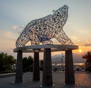 Bear Statue at Stuart Park