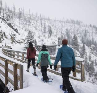 Hiking or snowshoeing through the Myra Canyon Trestles in Kelowna, BC is a magical experience.