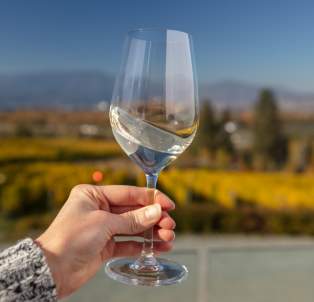 White Wine Glass