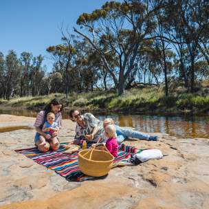 Family picnic near Goomalling, Avon Valley
