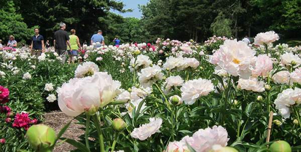 Matthaei Botanical Garden
