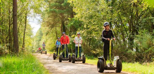 Cannock Chase Forest Outdoors Go Ape Segway tour single file