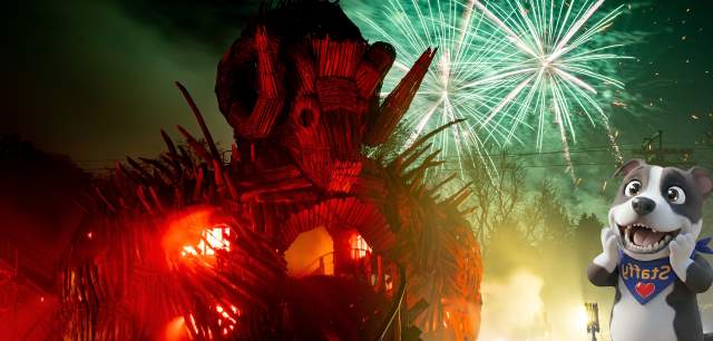 Staffy enjoying fireworks behind Wicker Man