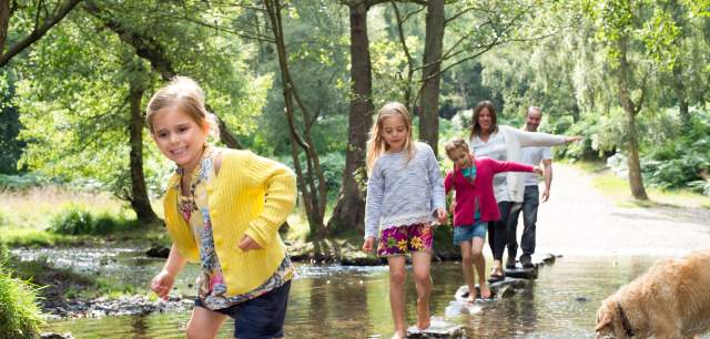 Cannock Chase Family Days Out family crosses stream stepping stones