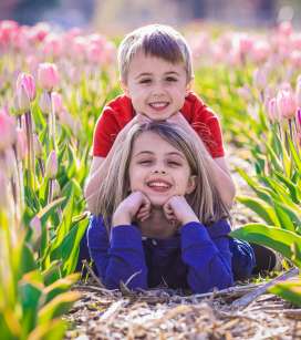 Tulips Kids