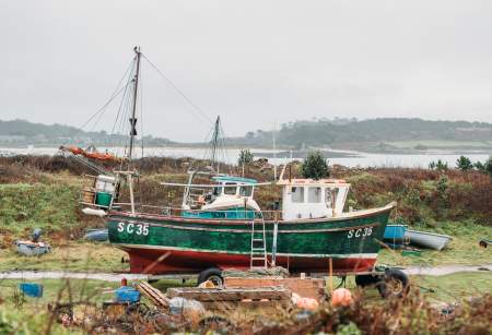 From Sea to Shore: The Island Fish Story