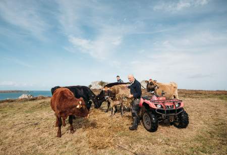 From Cows to Cones: Crafting Ice Cream on St. Agnes