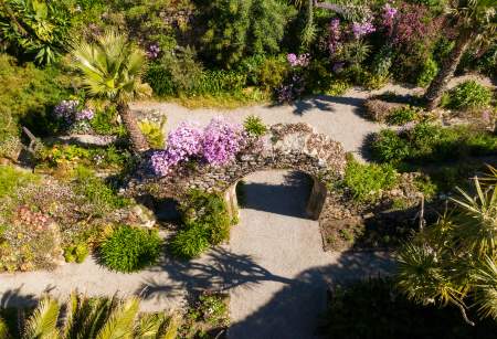 How a humble hedge created a heavenly garden