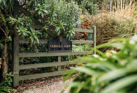 From Flowers to Fudge: A Sweet Bryher Story