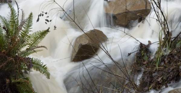 Rainy Day Waterfall by Robert Petit