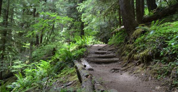 Spirit Falls Trail