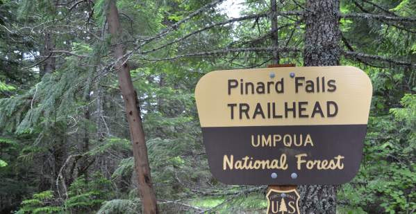 Pinard Falls Trailhead by Sally McAleer