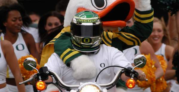 University of Oregon Mascot Duck by John Giustina