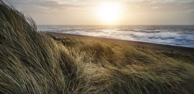 sand dunes at West Beach Littlehampton