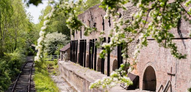View of the old railway track and industrial buildings at Amberley museum, with pretty blossom in foreground