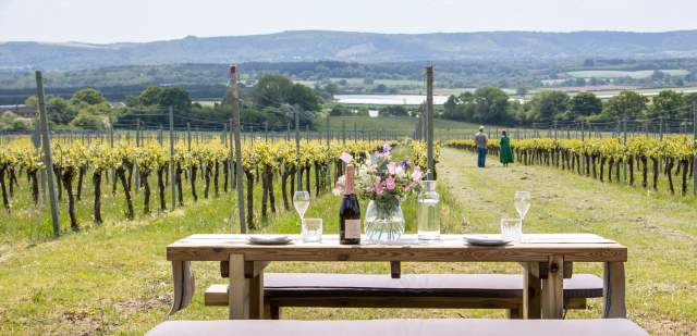 A bottle of English sparkling wine and flowers on a picnic bench at Roebuck Estate vineyard, with vines in the distance