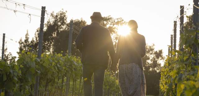 A couple walk through the vines at Leonardslee vineyard, Sussex