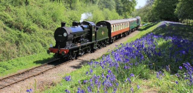 Bluebell railway steam train travelling past bluebell woods in Sussex