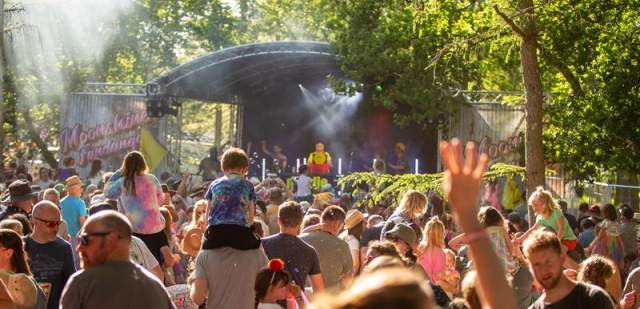 Elderflower Fields Festival