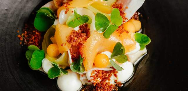 south lodge camelia food