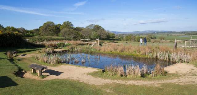 Pond and landcape at RSPB Pulborough Brooks