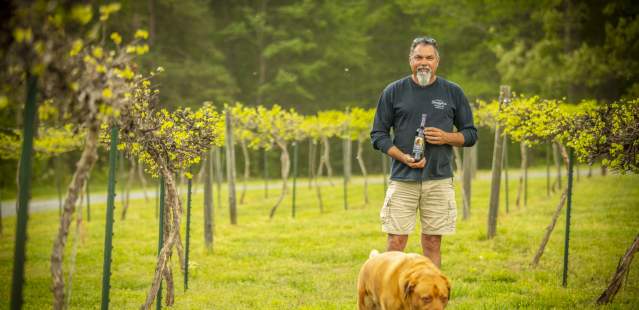Dog in the vineyard at Douglas Vineyard