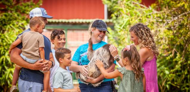 Tiger World Sloth Encounter
