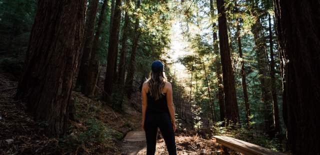 redwood-trails-canyon-ranch-woodside
